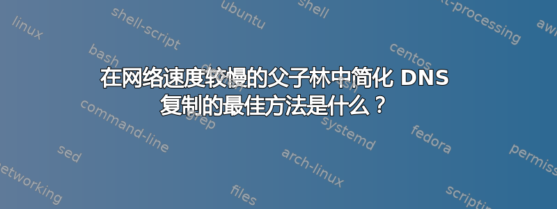 在网络速度较慢的父子林中简化 DNS 复制的最佳方法是什么？