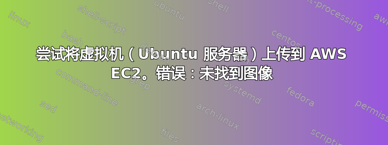 尝试将虚拟机（Ubuntu 服务器）上传到 AWS EC2。错误：未找到图像