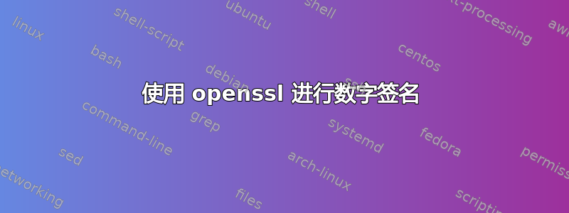 使用 openssl 进行数字签名