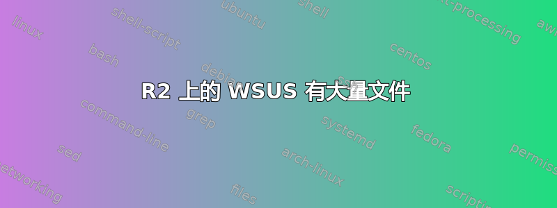 2012R2 上的 WSUS 有大量文件