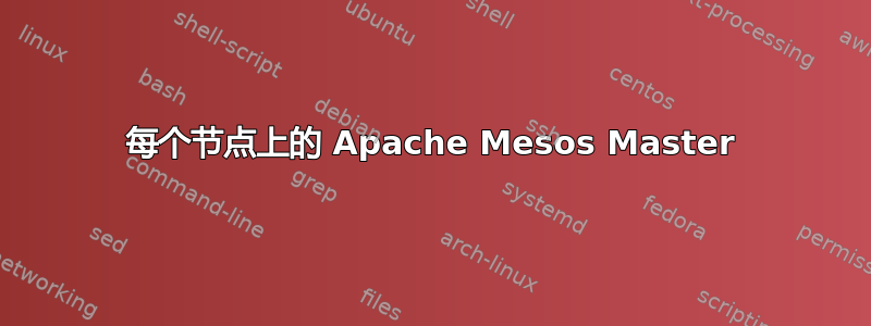 每个节点上的 Apache Mesos Master