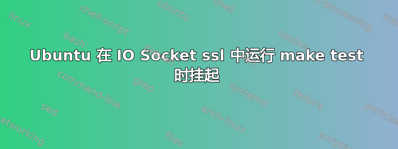 Ubuntu 在 IO Socket ssl 中运行 make test 时挂起