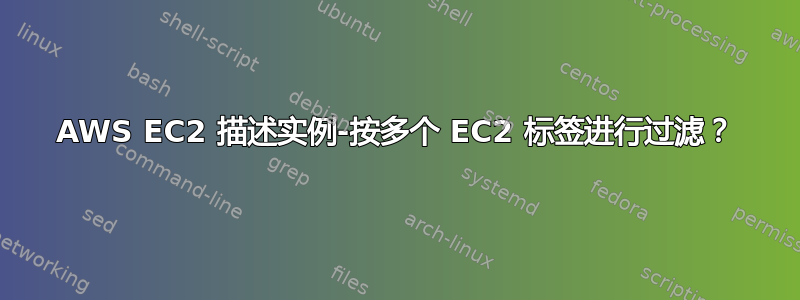 AWS EC2 描述实例-按多个 EC2 标签进行过滤？