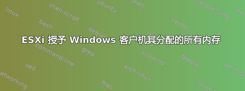 ESXi 授予 Windows 客户机其分配的所有内存