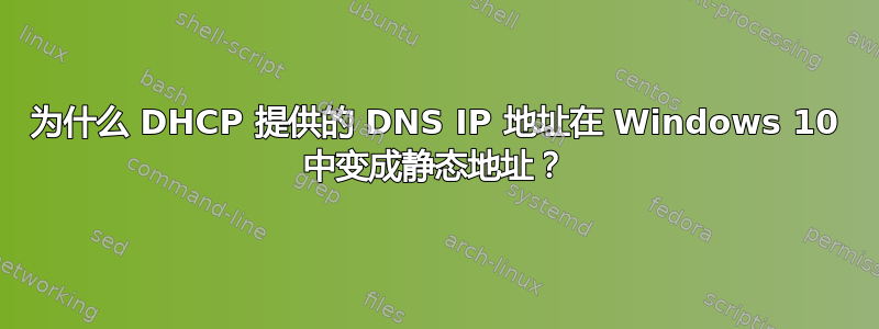 为什么 DHCP 提供的 DNS IP 地址在 Windows 10 中变成静态地址？