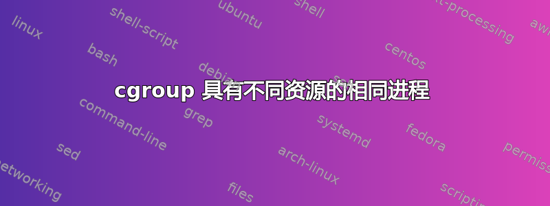 cgroup 具有不同资源的相同进程