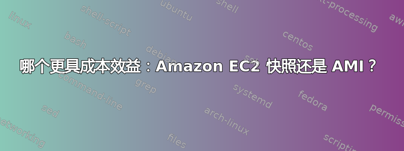 哪个更具成本效益：Amazon EC2 快照还是 AMI？