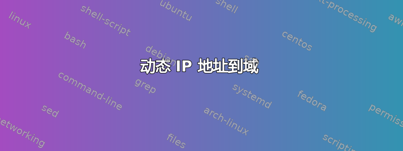 动态 IP 地址到域