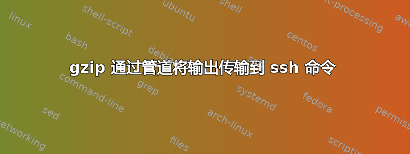 gzip 通过管道将输出传输到 ssh 命令