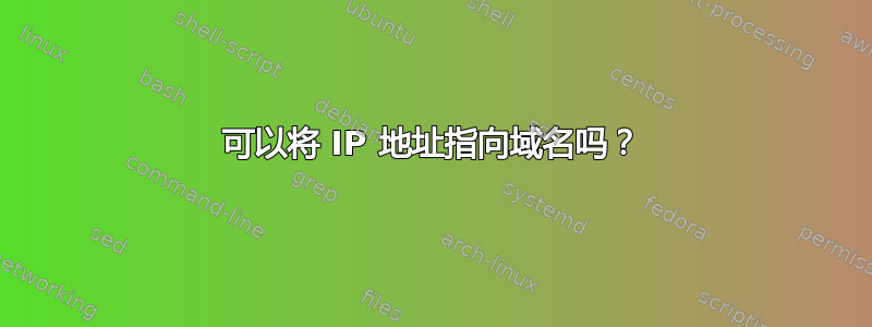 可以将 IP 地址指向域名吗？