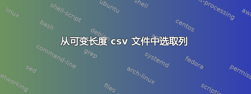 从可变长度 csv 文件中选取列