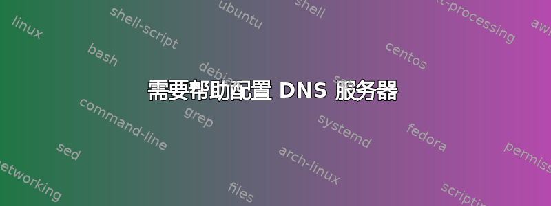 需要帮助配置 DNS 服务器