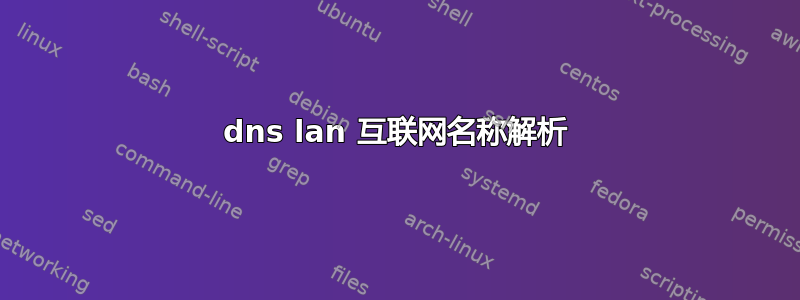 dns lan 互联网名称解析