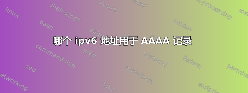 哪个 ipv6 地址用于 AAAA 记录