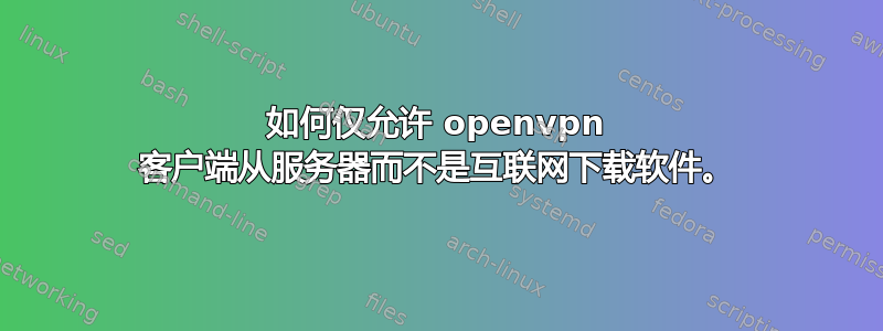 如何仅允许 openvpn 客户端从服务器而不是互联网下载软件。