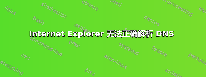 Internet Explorer 无法正确解析 DNS