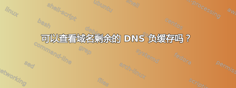 可以查看域名剩余的 DNS 负缓存吗？