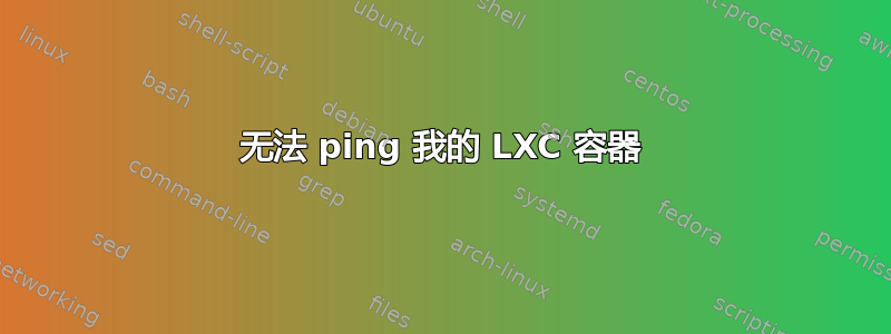 无法 ping 我的 LXC 容器