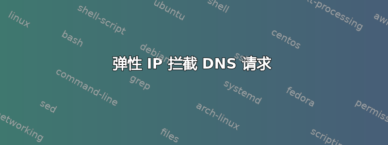 弹性 IP 拦截 DNS 请求