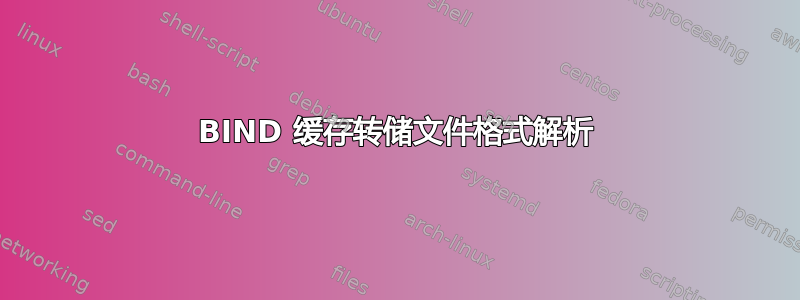 BIND 缓存转储文件格式解析