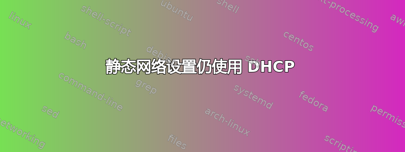 静态网络设置仍使用 DHCP