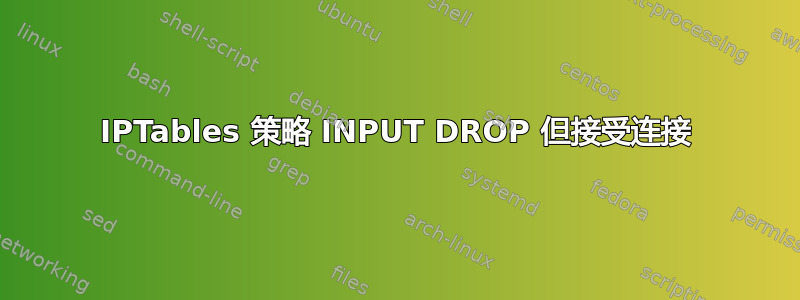 IPTables 策略 INPUT DROP 但接受连接