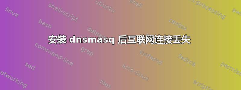 安装 dnsmasq 后互联网连接丢失