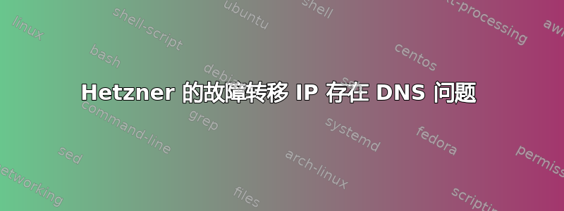 Hetzner 的故障转移 IP 存在 DNS 问题