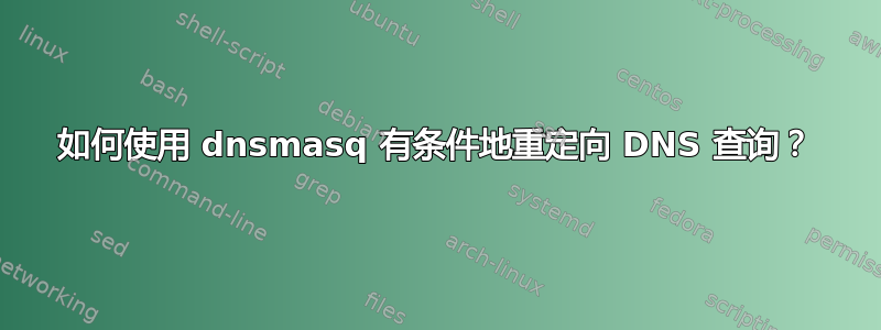 如何使用 dnsmasq 有条件地重定向 DNS 查询？