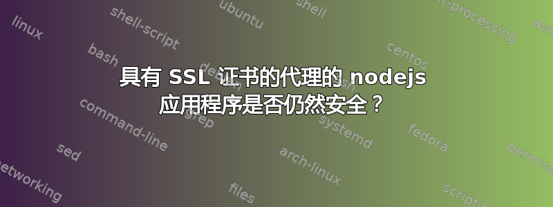 具有 SSL 证书的代理的 nodejs 应用程序是否仍然安全？