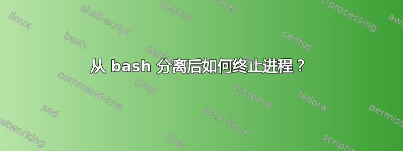 从 bash 分离后如何终止进程？