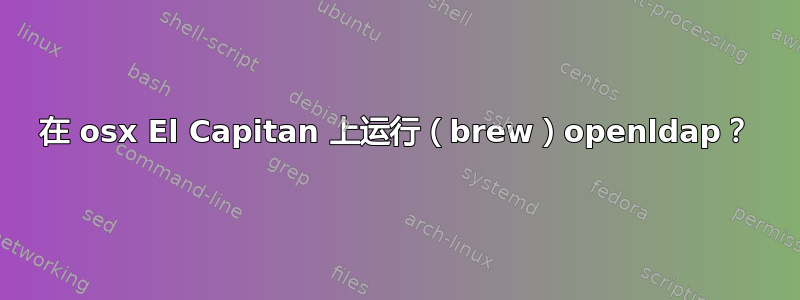 在 osx El Capitan 上运行（brew）openldap？