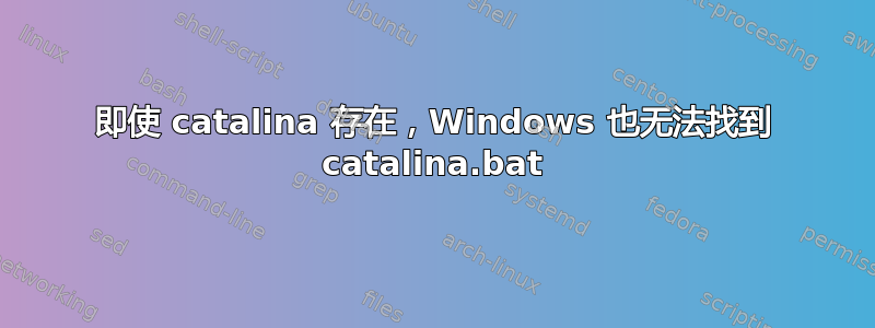 即使 catalina 存在，Windows 也无法找到 catalina.bat