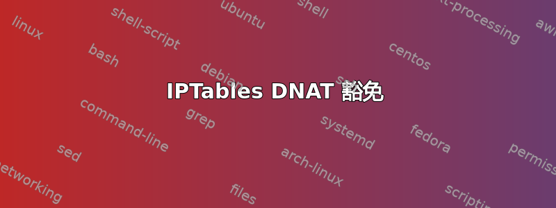 IPTables DNAT 豁免