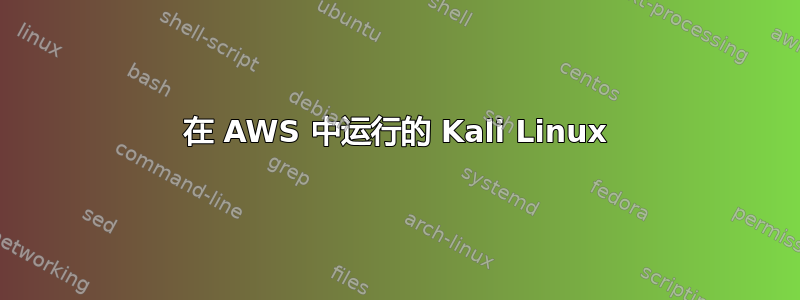 在 AWS 中运行的 Kali Linux