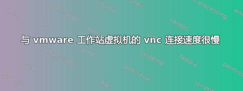 与 vmware 工作站虚拟机的 vnc 连接速度很慢