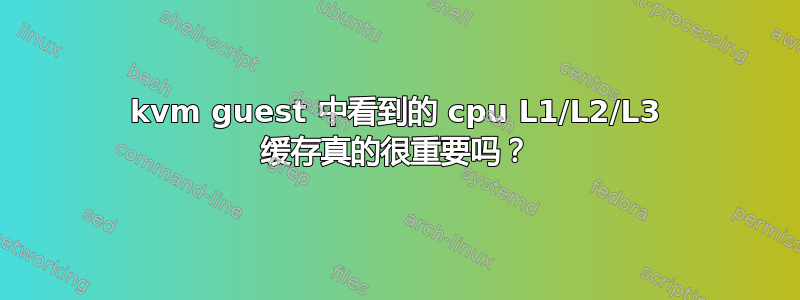 kvm guest 中看到的 cpu L1/L2/L3 缓存真的很重要吗？