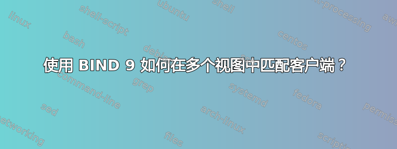 使用 BIND 9 如何在多个视图中匹配客户端？