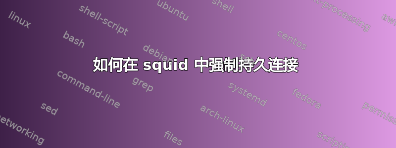 如何在 squid 中强制持久连接