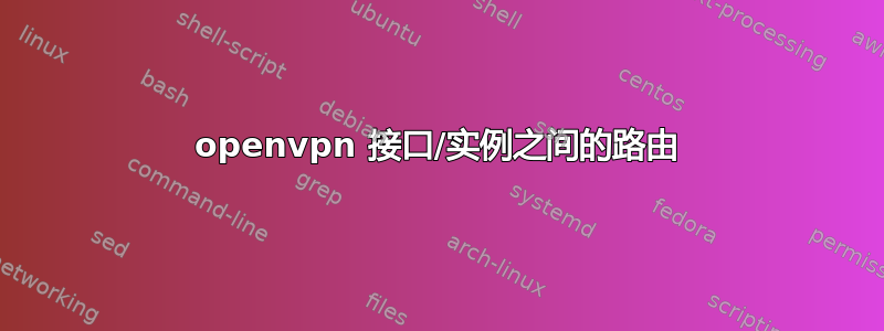 openvpn 接口/实例之间的路由