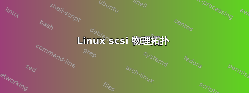 Linux scsi 物理拓扑