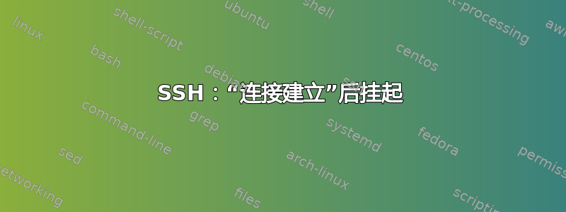 SSH：“连接建立”后挂起