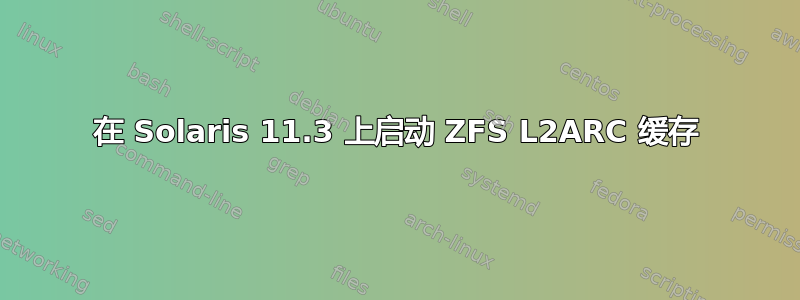 在 Solaris 11.3 上启动 ZFS L2ARC 缓存