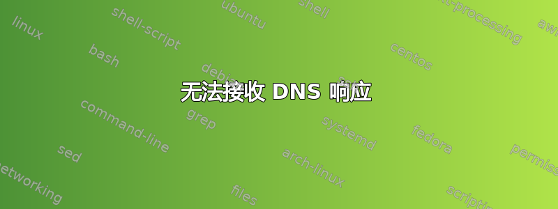 无法接收 DNS 响应