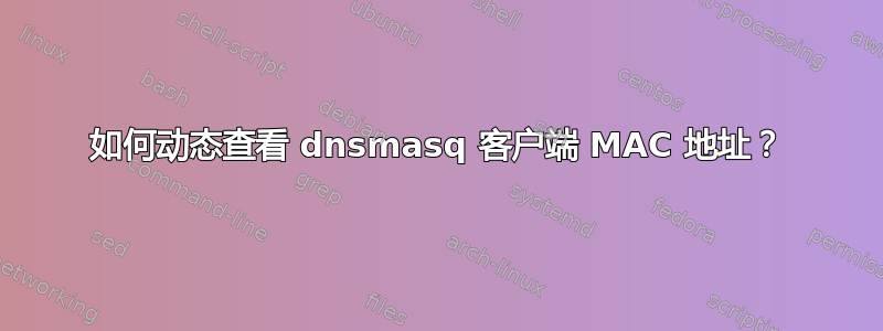 如何动态查看 dnsmasq 客户端 MAC 地址？