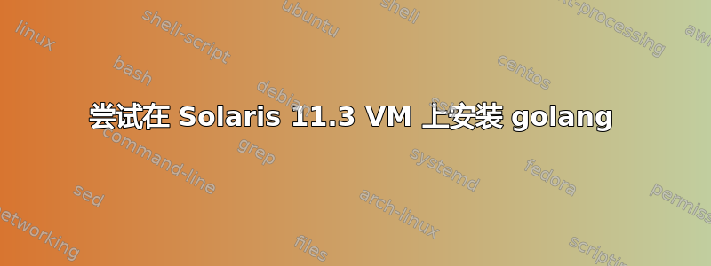 尝试在 Solaris 11.3 VM 上安装 golang