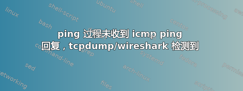 ping 过程未收到 icmp ping 回复，tcpdump/wireshark 检测到