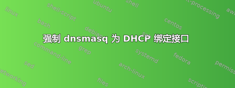 强制 dnsmasq 为 DHCP 绑定接口