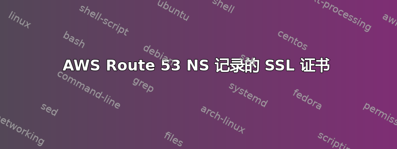 AWS Route 53 NS 记录的 SSL 证书