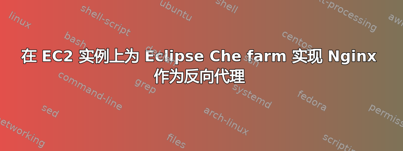 在 EC2 实例上为 Eclipse Che farm 实现 Nginx 作为反向代理